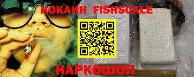 a pvp Кингисепп