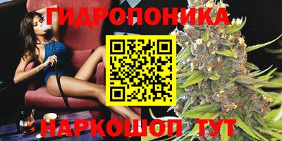 a pvp Кингисепп