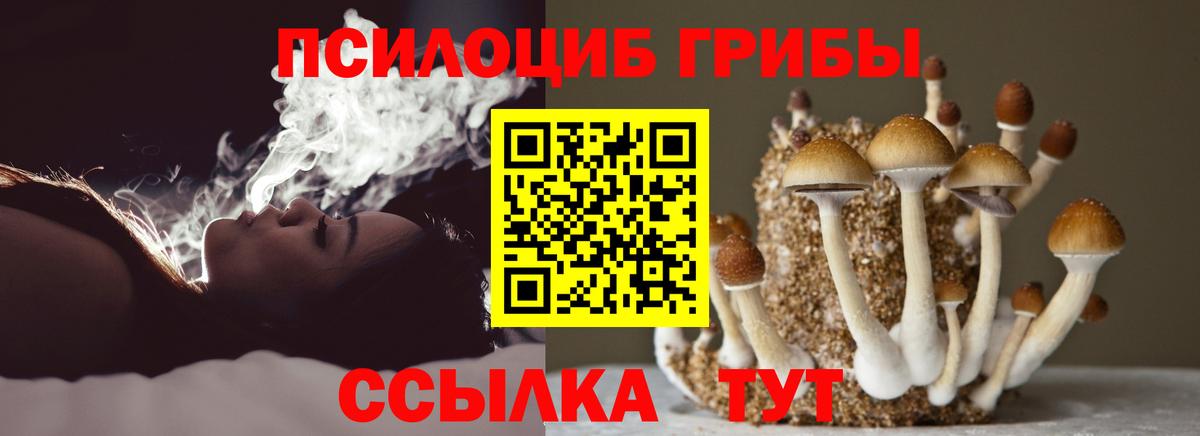 Псилоцибиновые грибы Psilocybine cubensis Фрязино